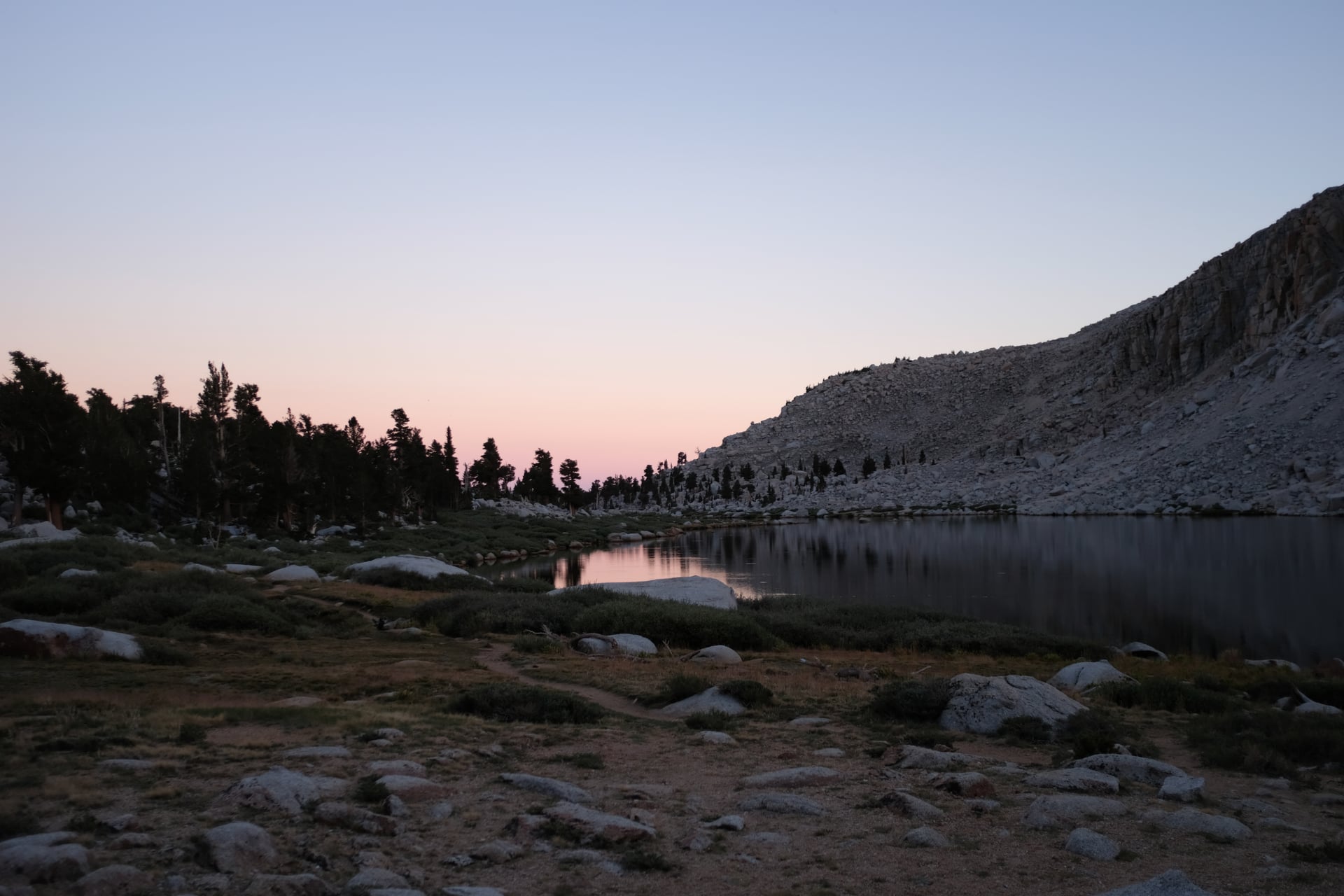 cottonwood