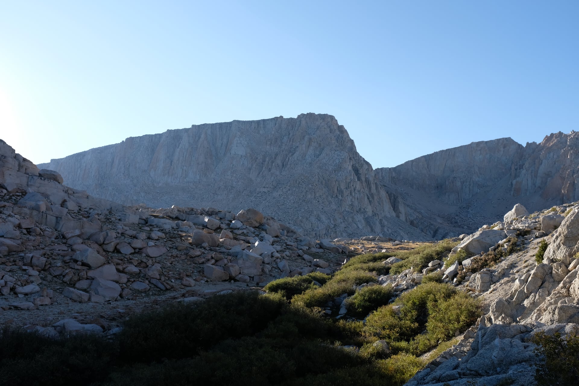 cottonwood