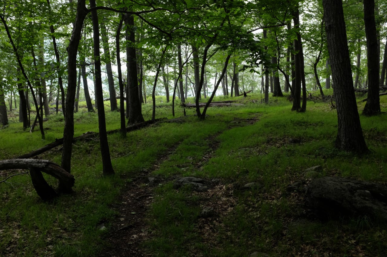 harriman