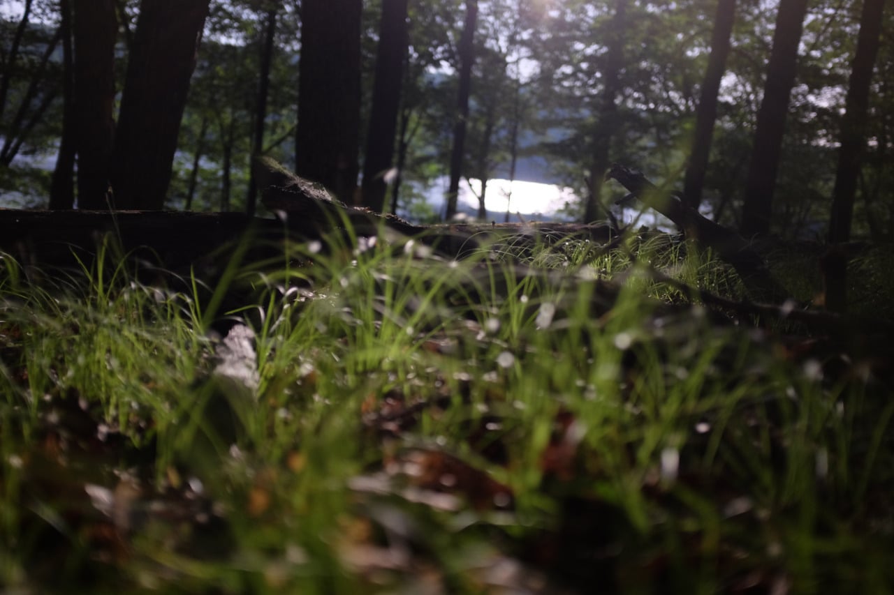 harriman