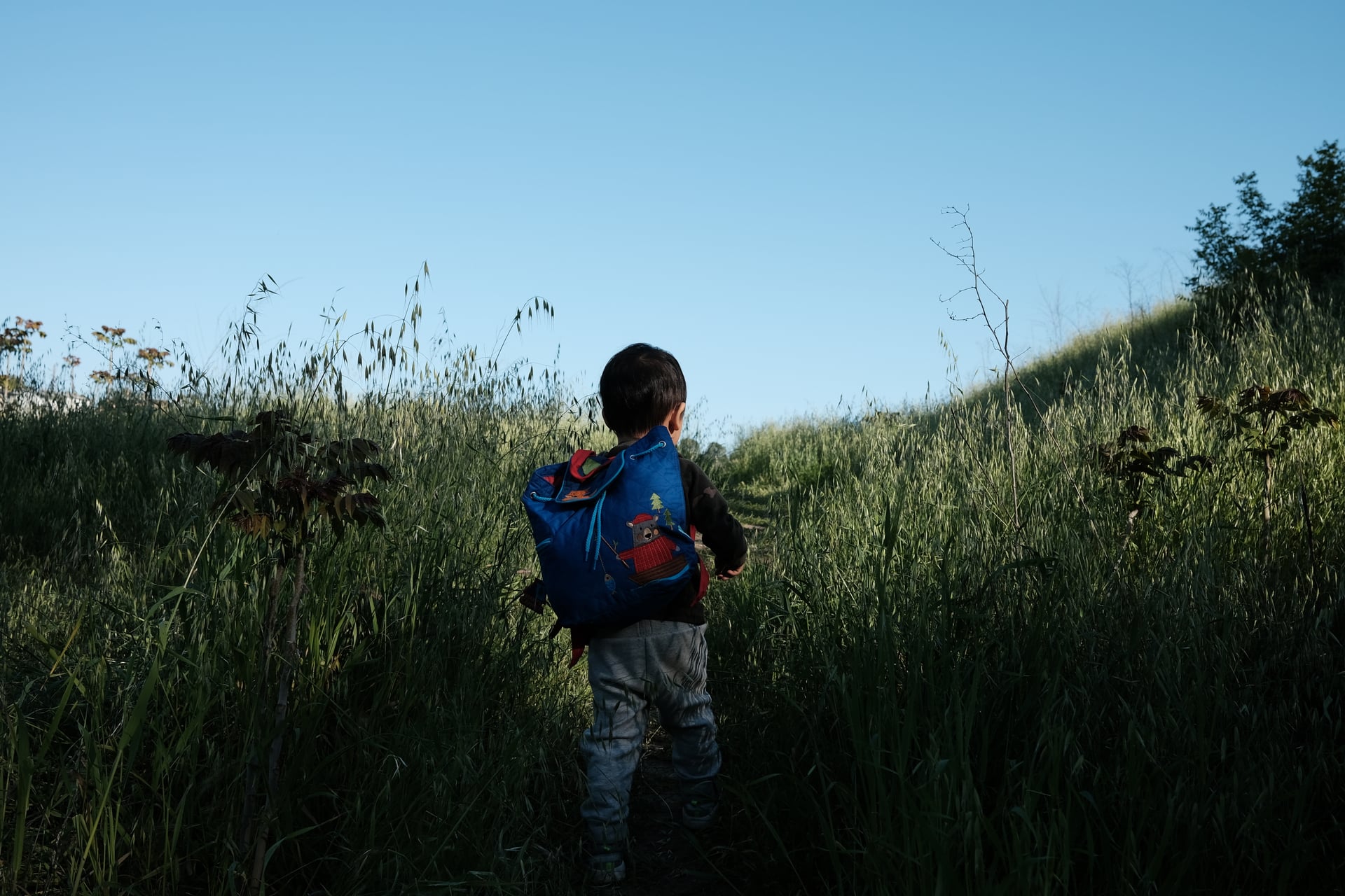 the wild place